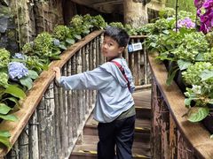 -正佳雨林生态植物园