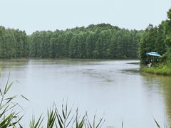 -上海海湾国家森林公园