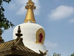 -护国法轮寺