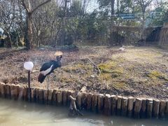 -上海野生动物园
