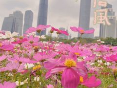 -海心沙亚运公园