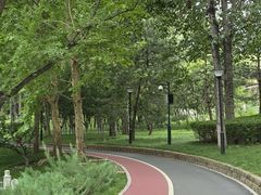 -大望京公园