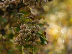 -苏州河梦清园环保主题公园