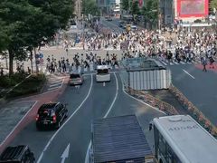-涩谷区