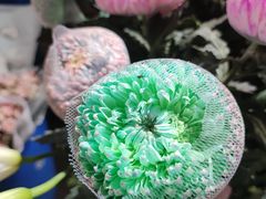 -循礼门鲜花花市(武汉循礼门店)