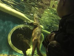 -成都浩海立方海洋公园