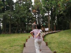 -福建鲤鱼洲酒店