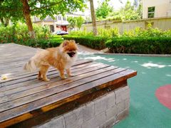 -北京恒爱动物医院(清景园分院)