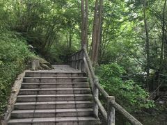-牛背梁国家森林公园