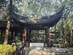 -上海佘山国家森林公园天马山园