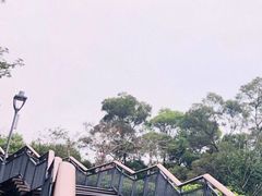 -金鸡山公园