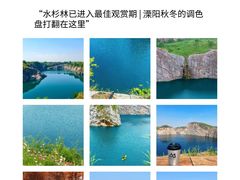 -紫藤园·天目湖大鱼头(南山竹海店)