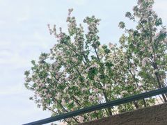 -三个渔夫·蒸汽海鲜(小白楼店)