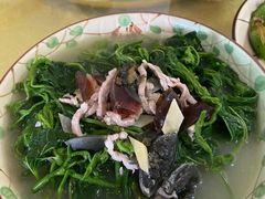 上汤桑叶-铭杨农庄