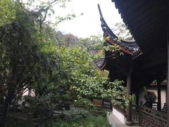 景观位-十八棵（老龙井）御茶园(老龙井店)