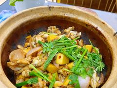 -金龙·打边炉(武进路店)