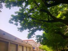 -四十四中游泳馆