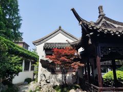 -何园