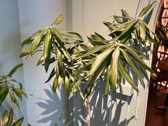 -南堂馆·新川菜(春熙路店)