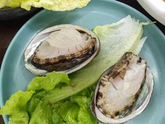 活鲍鱼-金龙·打边炉(南京西路店)