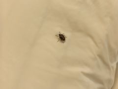 -秦皇岛阿尔卡迪亚滨海度假酒店