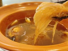 -大中鱼翅 Taitong Shark Fin