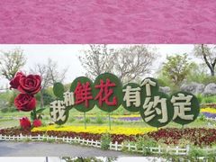 -南通鲜花小镇