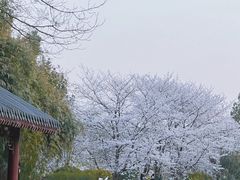 -堤角公园