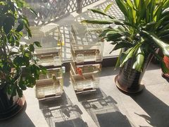 -高晓山馅饼店(牛庄百年店)