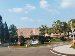 -自贡恐龙博物馆