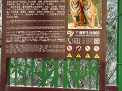 -栾川竹海野生动物园