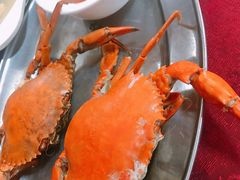 -南沙十九涌渔人码头-南门