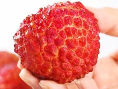 白糖罂荔枝-绿叶水果(长沙蔡锷路店)