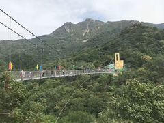 -木兰云雾山