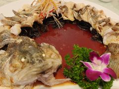 清蒸鲜鲈鱼-博雅渔港·融合菜(维也纳国际大酒店)