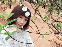 -南国桃园旅游度假区