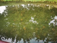 -成飞公园