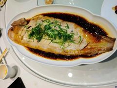 酱焖大鳎米-小螺号海鲜·地道鲁菜(省体总店)