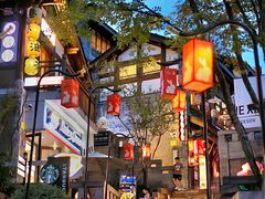 -重庆十八梯传统风貌区