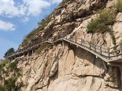 -大芦花风景区