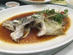 清蒸桂花鱼-御彩酒家(东风东路店)