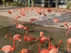 -鄂尔多斯野生动物园