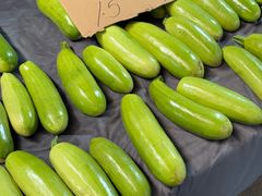 -大连熟食品交易中心
