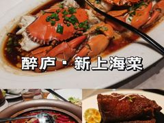 -醉庐·新上海菜(南京西路店)
