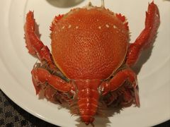 -君来湖滨饭店·玫瑰园
