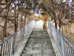 -白水寺森林公园