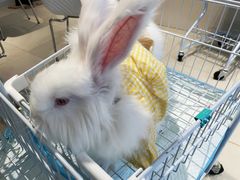 -怪兽屋·羊驼·猫咖·狗咖(俊华广场店)