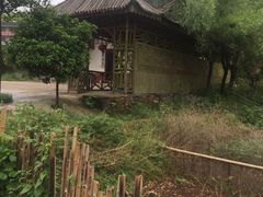 -蔡伦竹海