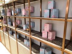 -奈雪的茶(石家庄万象城店)