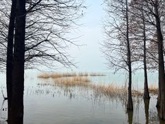 -江苏三台山国家森林公园